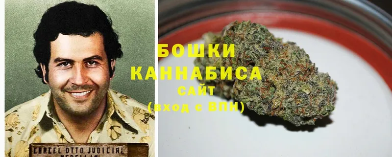 кракен сайт  Отрадный  Канабис SATIVA & INDICA 